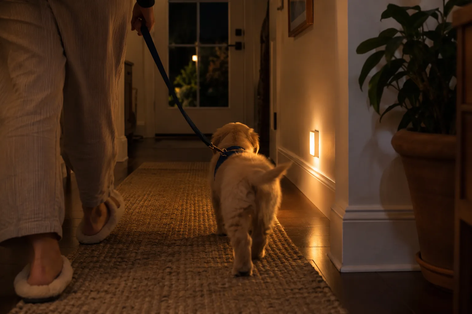 An adult in slippers leads a golden puppy on a leash down a dim hallway toward the back door at night