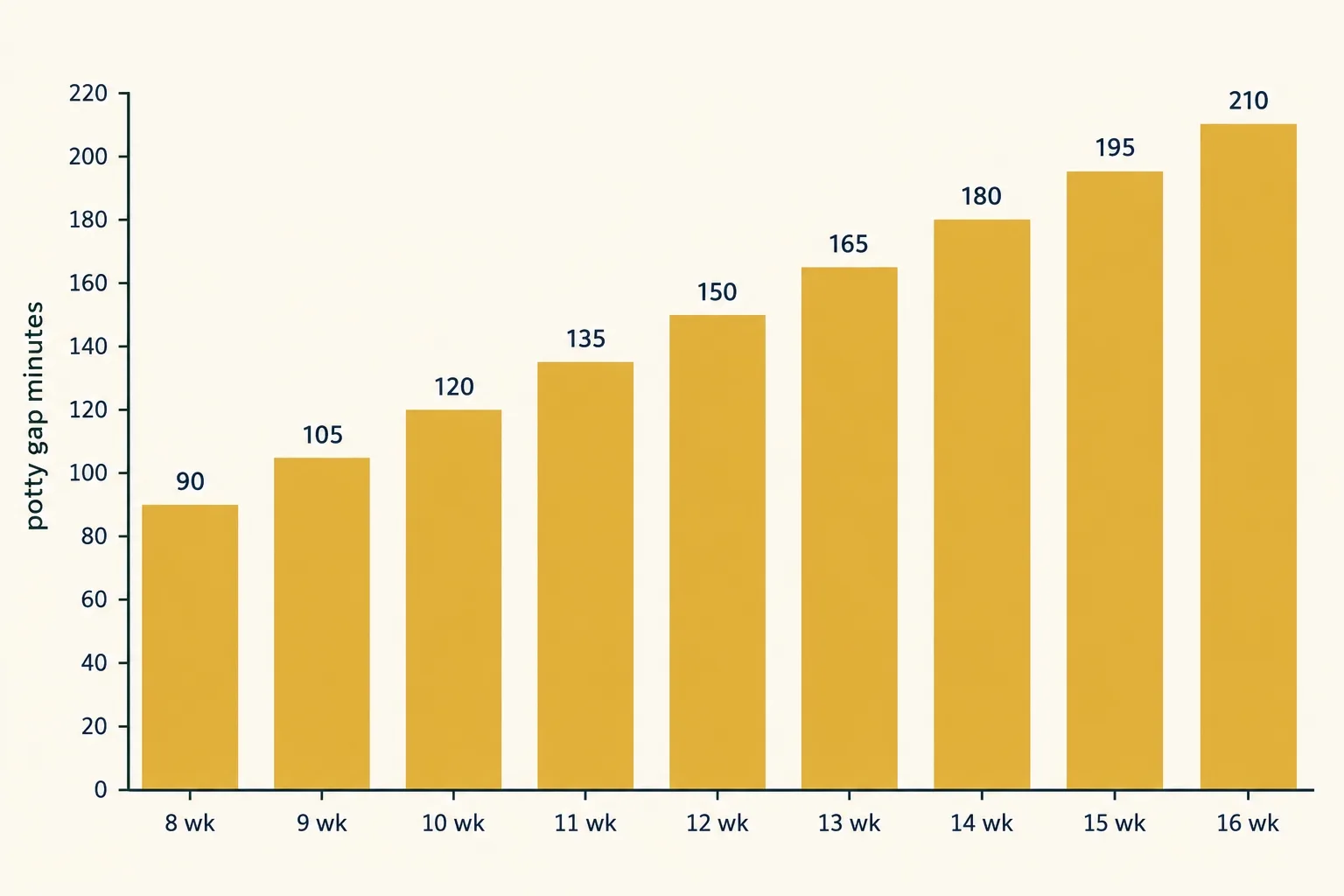 Bar chart of awake minutes between potty trips for a German Shepherd puppy: 90 at 8 weeks rising by 15 each week to 210 at 16 weeks