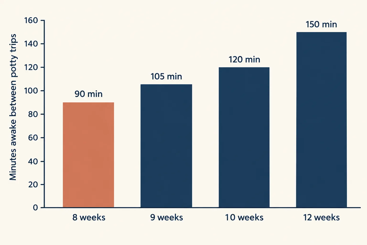 Bar chart of minutes awake between potty trips by age: 8 weeks 90 min, 9 weeks 105 min, 10 weeks 120 min, 12 weeks 150 min