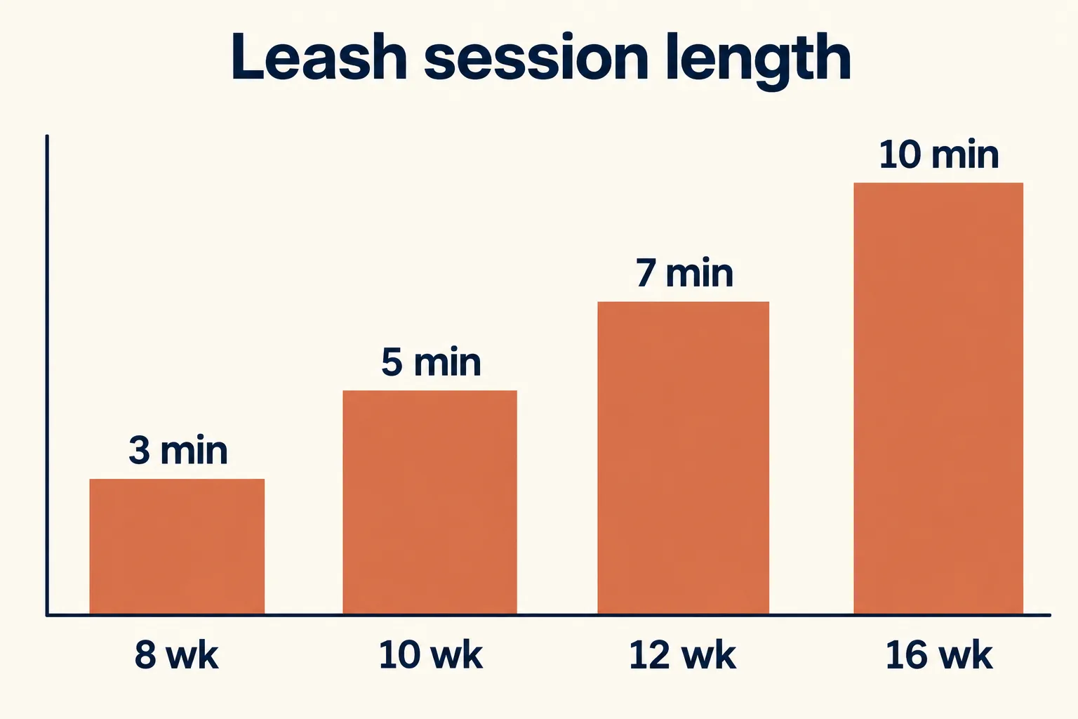 Bar chart titled Leash session length: 3 minutes at 8 weeks, 5 minutes at 10 weeks, 7 minutes at 12 weeks, 10 minutes at 16 weeks