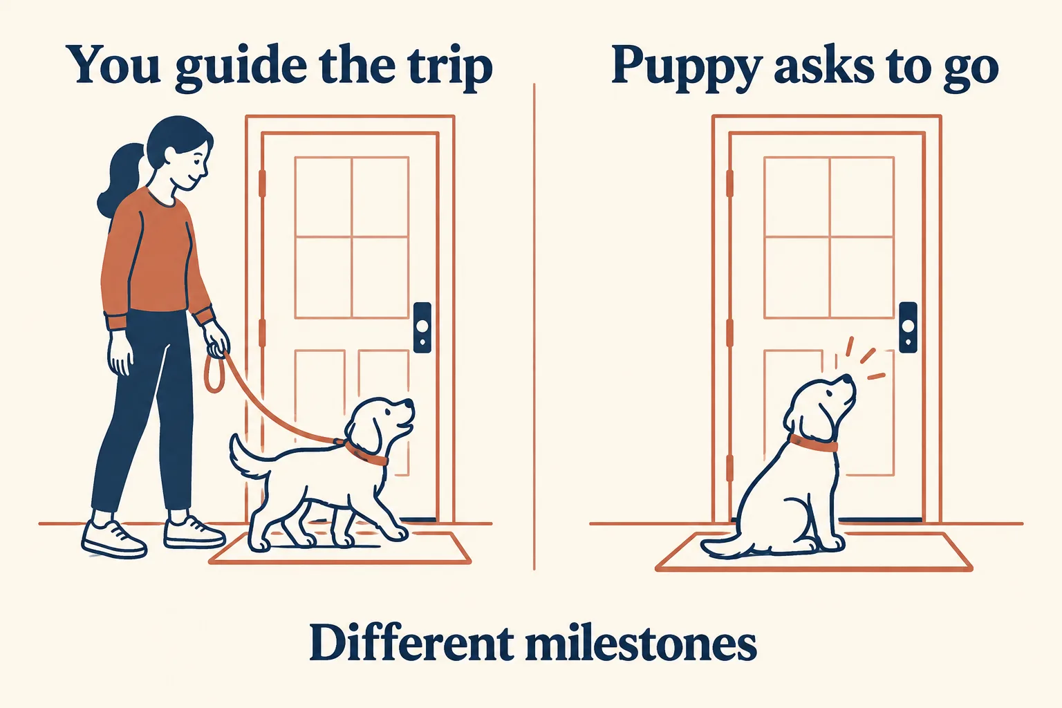 Comparison diagram shows an adult guiding a puppy on a leash and a puppy signaling at a door, labeled Different milestones