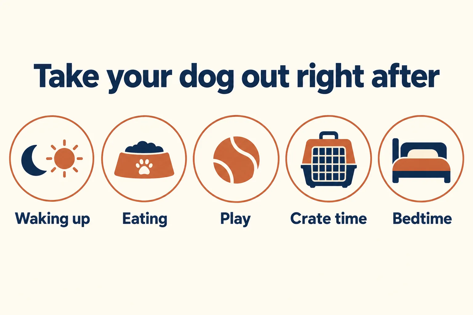Five icons showing when to take a dog out: waking up, eating, play, crate time and bedtime