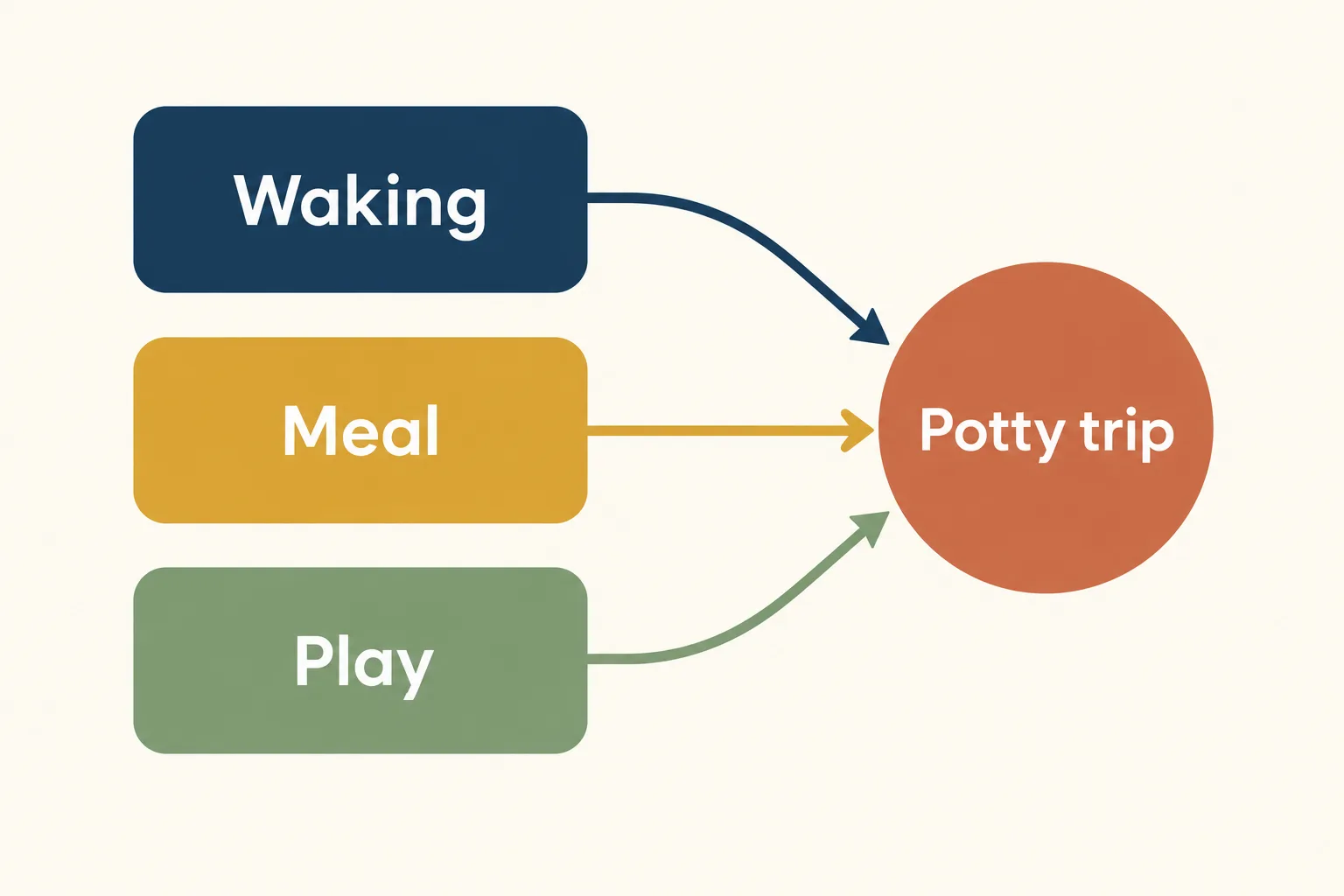 Flow diagram with three boxes labeled Waking, Meal and Play, each with an arrow pointing to a circle labeled Potty trip