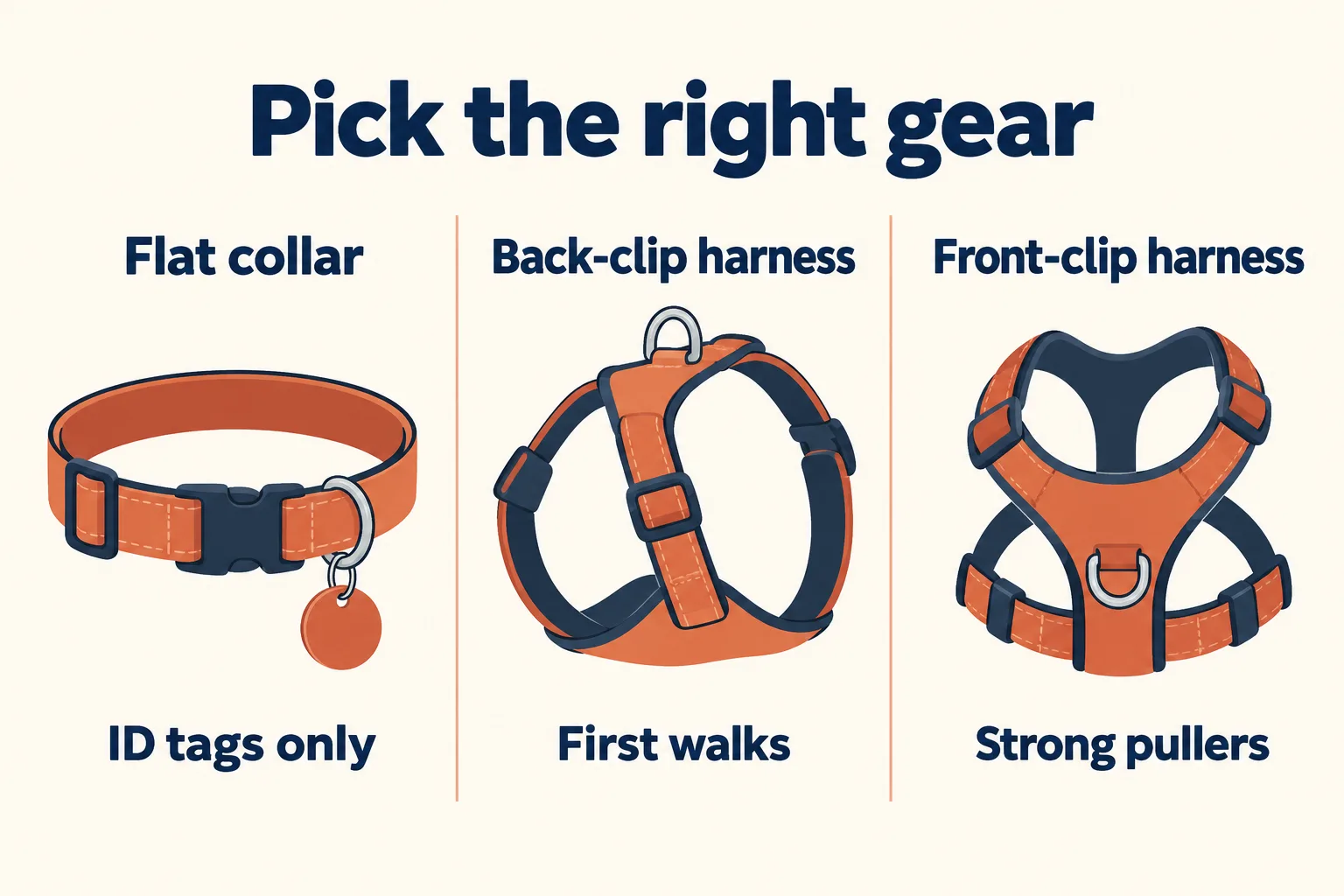 Infographic titled Pick the right gear comparing a flat collar for ID tags only, a back-clip harness for first walks and a front-clip harness for strong pullers