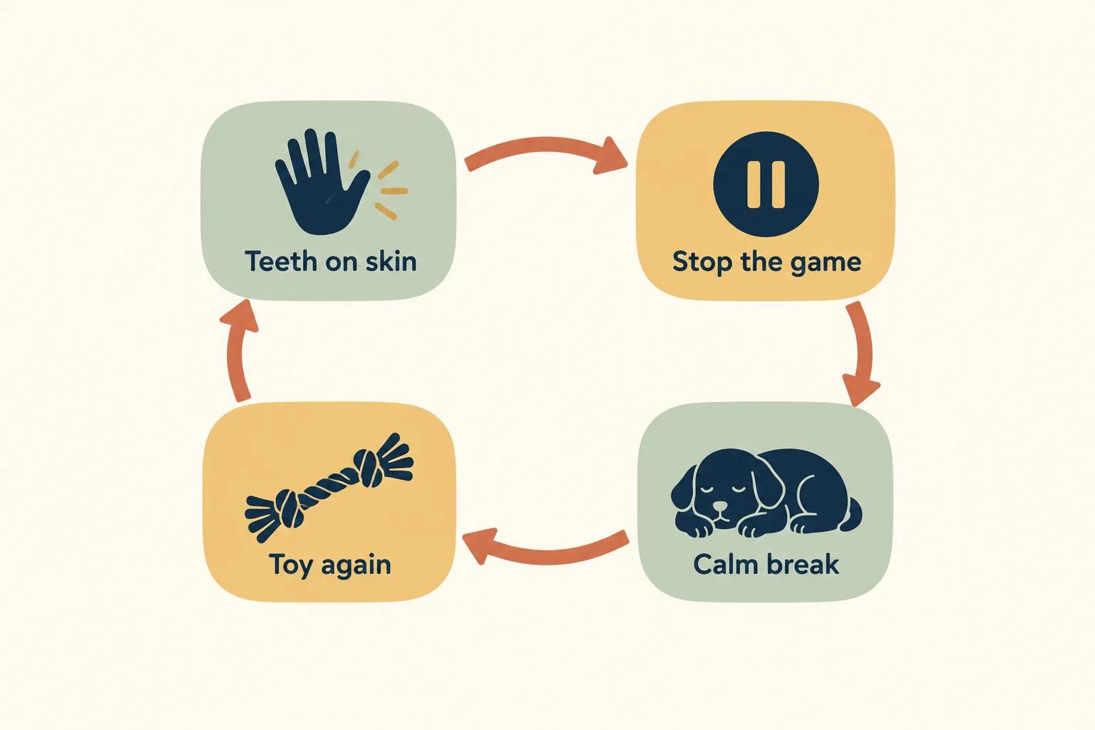 Loop diagram: Teeth on skin, Stop the game, Calm break, Toy again, connected by arrows