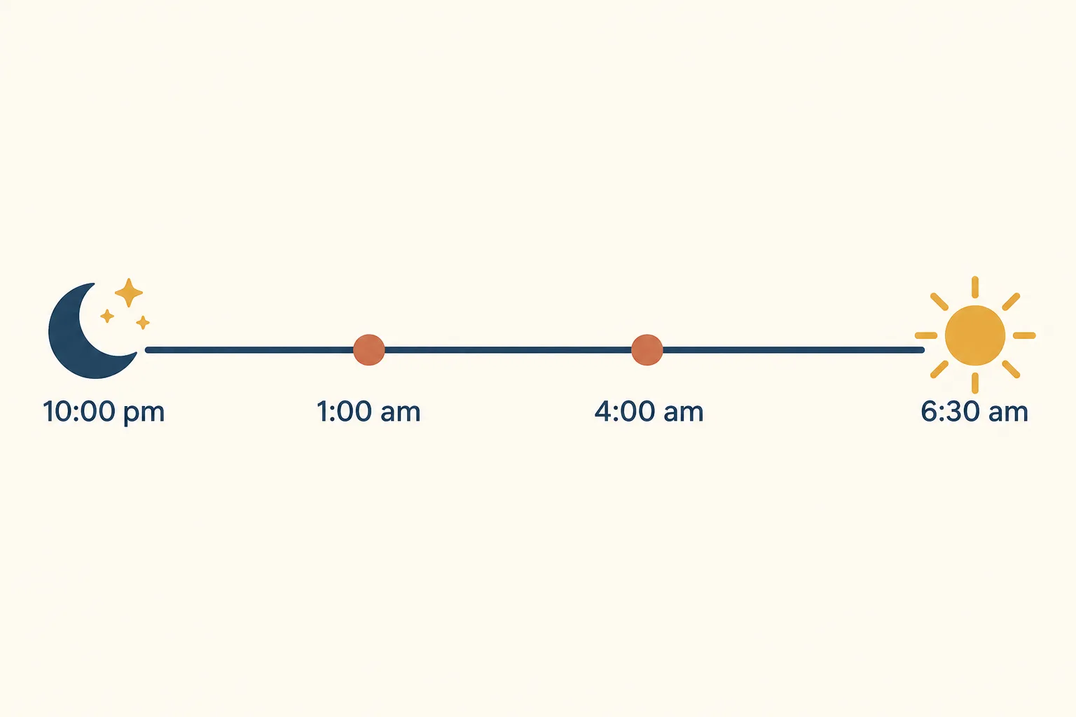 Night timeline for a 10 week old puppy from 10:00 pm bedtime with potty checks at 1:00 am and 4:00 am until 6:30 am