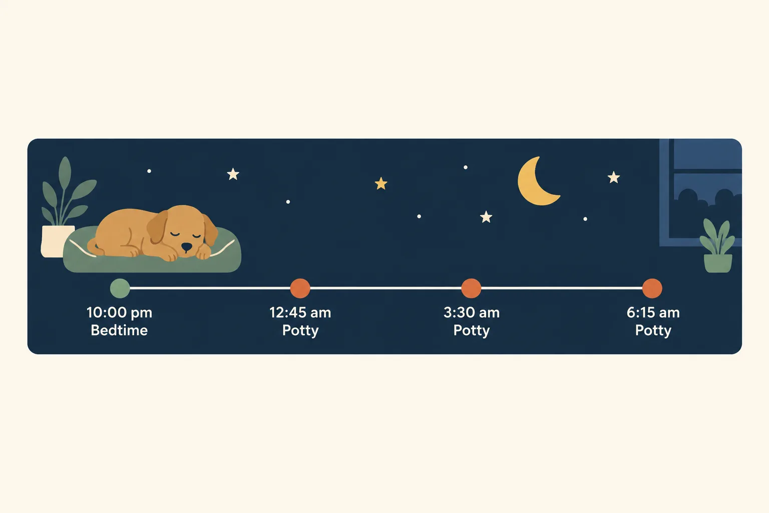 Night timeline for a 9 week old puppy: 10:00 pm bedtime, then potty trips at 12:45 am, 3:30 am and 6:15 am