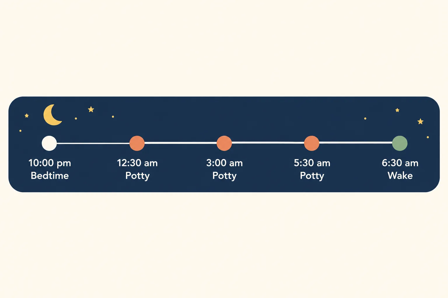 Night timeline for an 8 week old puppy: 10:00 pm bedtime, potty trips at 12:30 am, 3:00 am and 5:30 am, wake at 6:30 am