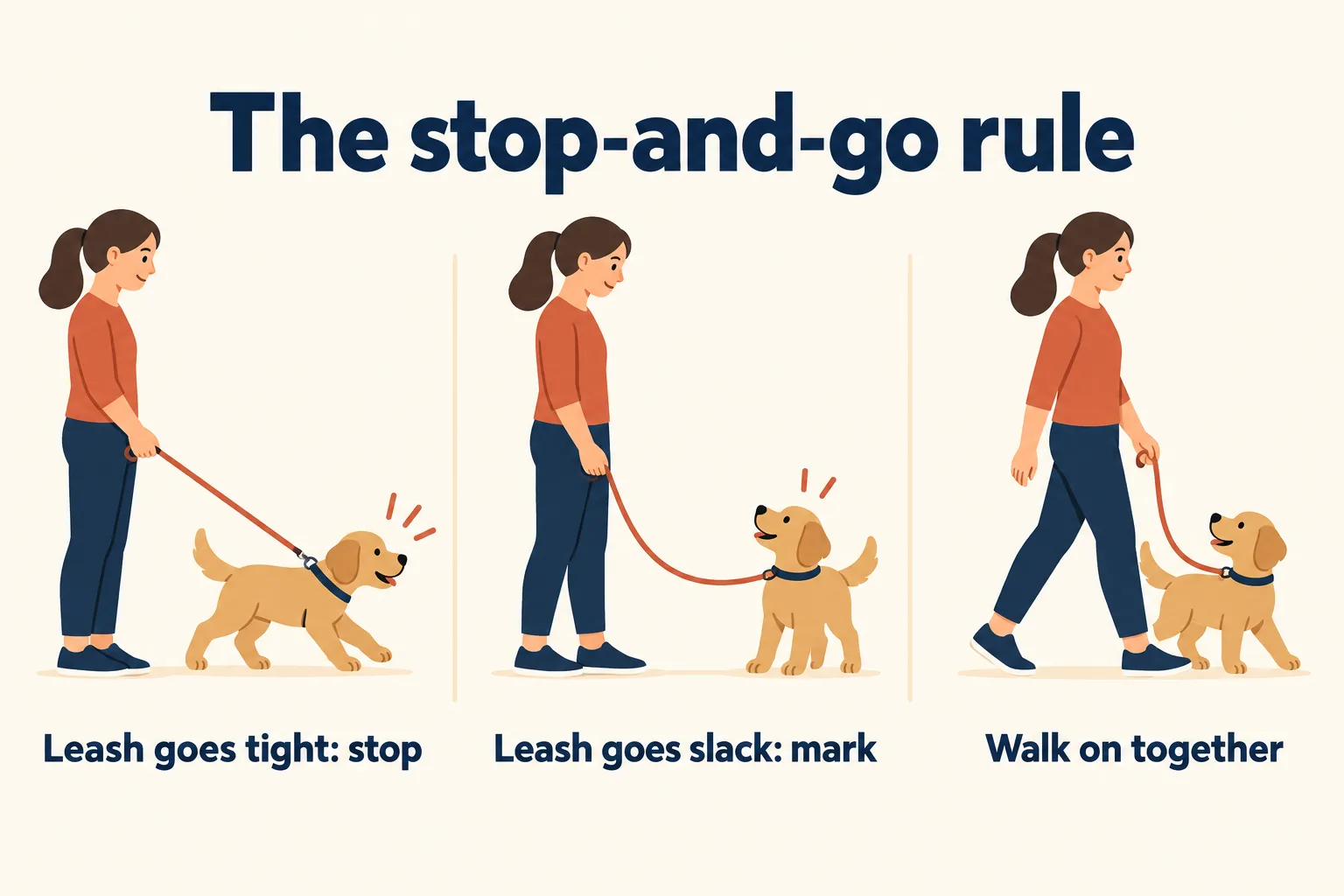 Three-panel diagram titled The stop-and-go rule: leash goes tight so the person stops, leash goes slack so they mark, then they walk on together