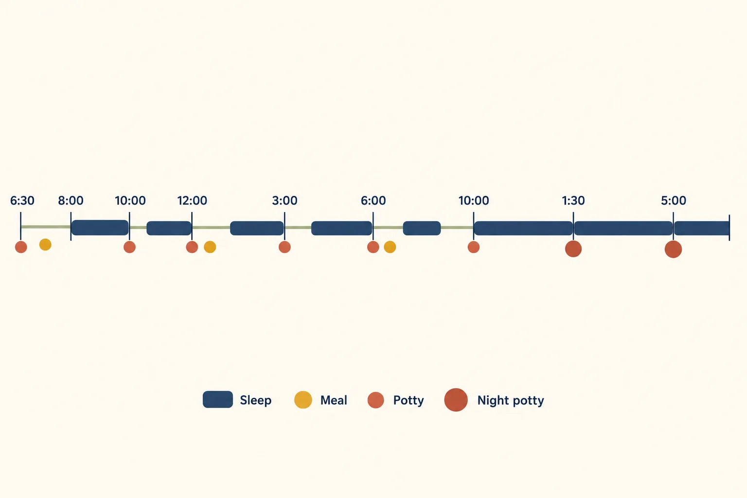 Timeline of a 12 week old puppy day from 6:30 am to 5:00 am with rows for sleep blocks, meals, potty trips and night potty trips at 1:30 and 5:00