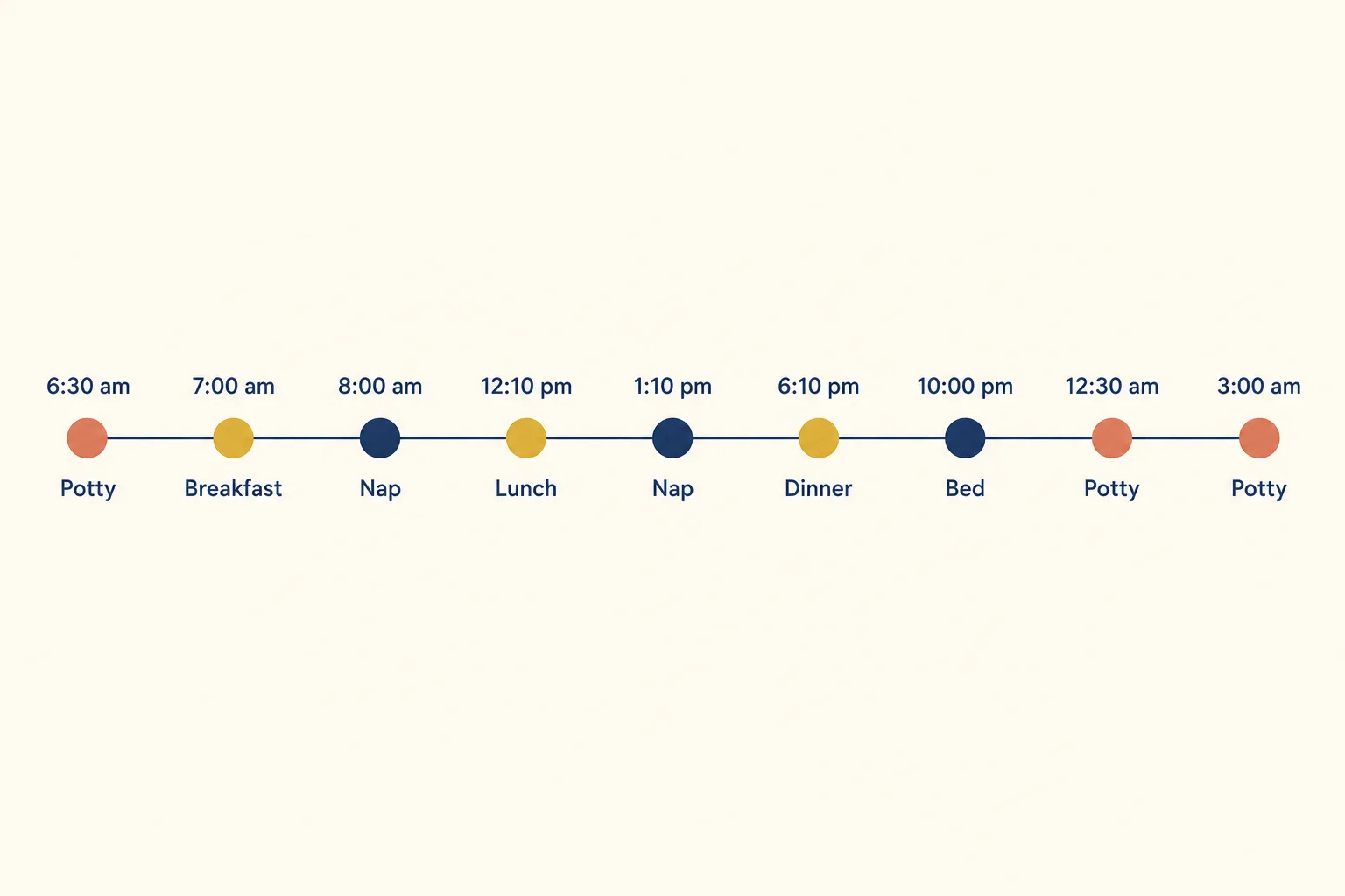 Timeline of an 8 week old puppy day: 6:30 am potty, 7:00 am breakfast, 8:00 am nap, 12:10 pm lunch, 1:10 pm nap, 6:10 pm dinner, 10:00 pm bed, 12:30 am and 3:00 am potty